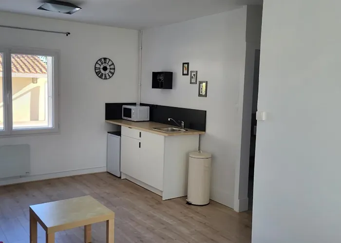 Perfect - Au Calme Avec Terrasse, Jardin, Piscine Apartman Libourne